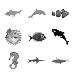 Vector design of sea and animal symbol. Collection of sea and marine stock vector illustration.