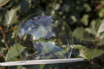 soap bubbles on a background of blooming Park on a summer day