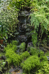 stone statue overgrown with moss, among many plants, which flow down the waterfall streams of water