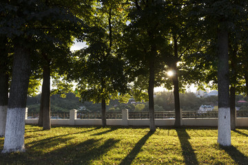 sun with rays between the trees in the Park, long shadows on the lawn in the beautiful evening light