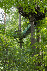 the house is located high on the trunk of trees in the forest, wooden bridges stretched between the trees, a place to relax and unity with nature