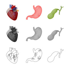 Isolated object of body and human icon. Set of body and medical vector icon for stock.