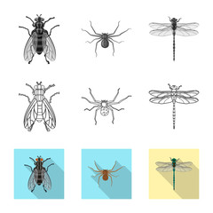 Isolated object of insect and fly icon. Set of insect and element stock symbol for web.