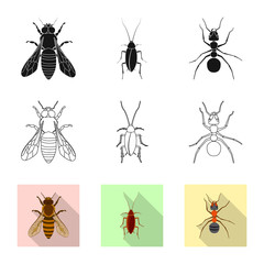 Vector design of insect and fly icon. Collection of insect and element vector icon for stock.