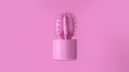 Foto op Canvas Pink Cactus with Pink Plant Pot 3d illustration 3d render © paul