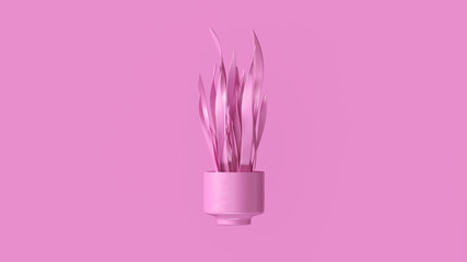 Pink Mother in Laws Tongue with Pink Plant Pot 3d illustration 3d render