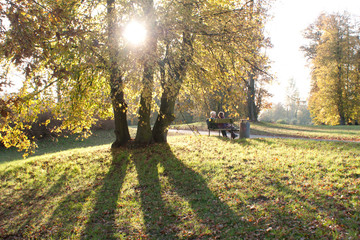 Naklejka premium Paar auf einer Bank