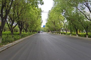 Fototapeta premium highway on the plain