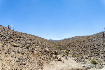 Atacama Desert, Chile