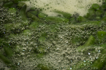 String beans in boiling water in a frying pan