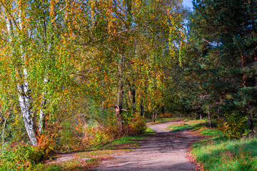 Russian autumn landscape in the park in September