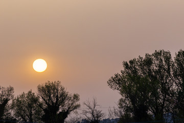 Sunset with sand suspended in the atmosphere, coluring the sky red, over some trees silhouettes