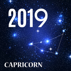 Obraz na płótnie Canvas Symbol: Capricorn Zodiac Sign with the New Year and Christmas 2019. Vector Illustration