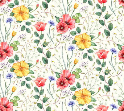 Seamless pattern with wildflowers: poppy, cornflower, chamomile and herbs. Hand drawn watercolor illustration for fabric, wrapping, wallpapers and other designs. Floral botanical print.