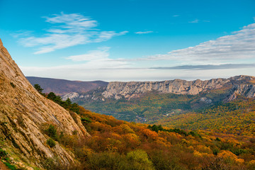 Fototapeta na wymiar Autumn - Beautiful orange forest on the slope of the mountains, Crimea, Russia