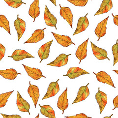 Obraz premium Seamless pattern witn brown and yellow fall leaves on white background. Hand drawn watercolor and ink illustration.