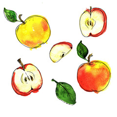 Set of fresh apples and green leaves isolated on white background. Hand drawn watercolor and ink illustration.