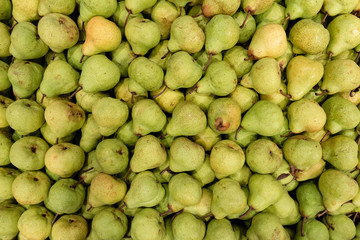 Fresh healthy Pears