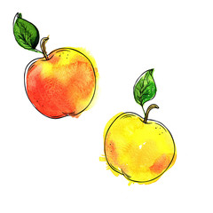Set of fresh yellow apples and green leaves isolated on white background. Hand drawn watercolor and ink illustration.