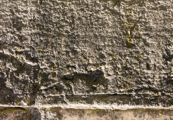 Concrete stone wall with green moss spots on it in the sunny lights. Old texture background.
