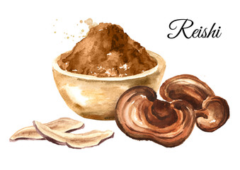 Dried Reishi ganoderma lucidum mushroom with powder. Superfood. Watercolor hand drawn illustration, isolated on white background