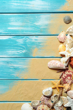 Summer time concept with sea shells