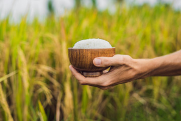 The hand holds a cup of boiled rice in a wooden cup, against the background of a ripe rice field