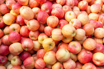 Pile of fresh apples.