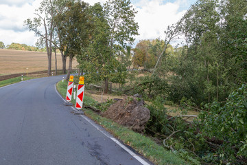 baum sturm strtaße sperrung