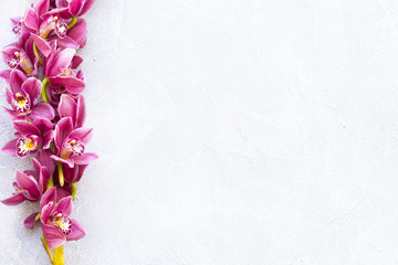 Spa and wellness setting with orchid flower, oil on wooden white background closeup top view