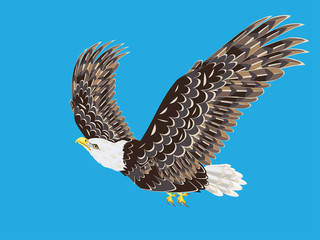 Stylized bald eagle