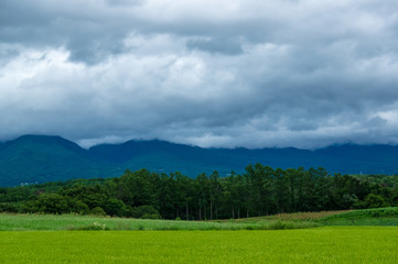 御牧原