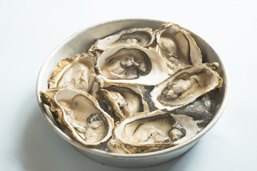 Oyster fresh  gourmet