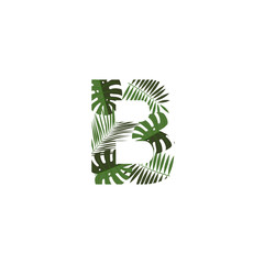 Vector Logo Letter B Tropical Leaves