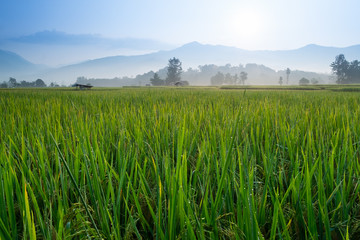 Wat Phuket , Pua , Nan ,Northern Thailand