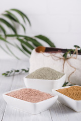 Ceramic bowls with different clay powder and fresh eucalyptus leaves on white background. Concept of face and body care.