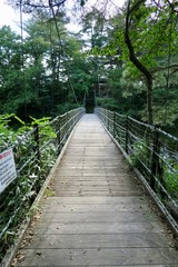 厳美渓　吊り橋