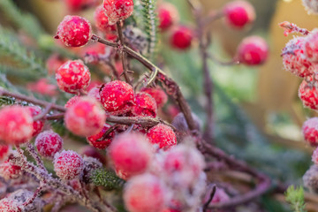 Christmas and New Year holidays background.  Christmas tree decorated with red frosted berries and balls.  Celebration concept