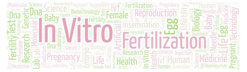 In Vitro Fertilization in banner form word cloud.