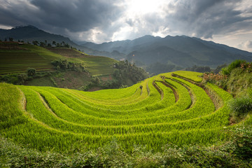 landscape rice fields on terraced of Mu Cang Chai, YenBai, Vietnam

