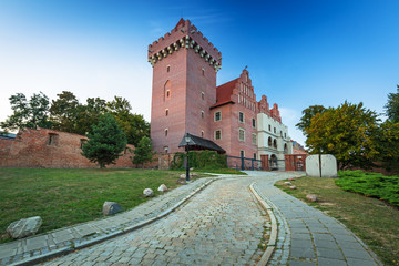Fototapeta na wymiar The Royal Castle in old town of Poznan, Poland