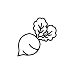 Black & white vector illustration of table beet vegetable. Line icon of fresh organic garden beet veggie with leaves. Vegan & vegetarian food. Isolated  on white background.