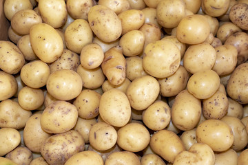 Kartoffeln Kartoffelkiste auf dem Markt