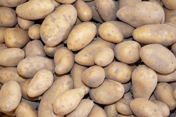 Kartoffeln Kartoffelkiste auf dem Markt