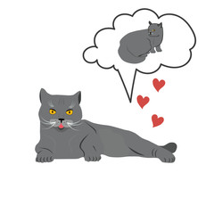 Love of two cute cats breed  British Shorthair, vector illustration on isolated white background. Illustration for your design.
