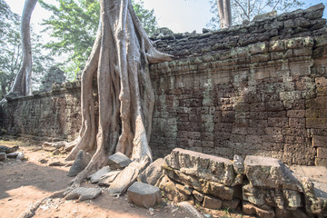 Buddha Temple in the nature of cambodia