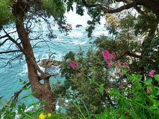 Italy, Liguria, Cinque Terre