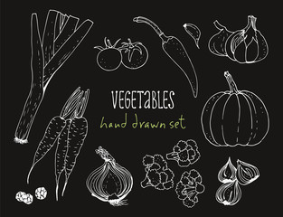 Vegetable vector set, hand drawn food background with: tomato, carrot, pumpkin, onion, broccoli, leek, garlic, chili pepper, herbs on black chalkboard