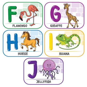 Animal Alphabet F G H I J