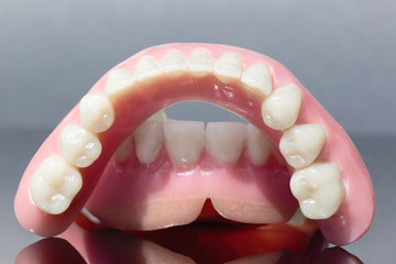 Medical denture jaw teeth isolated on gray background